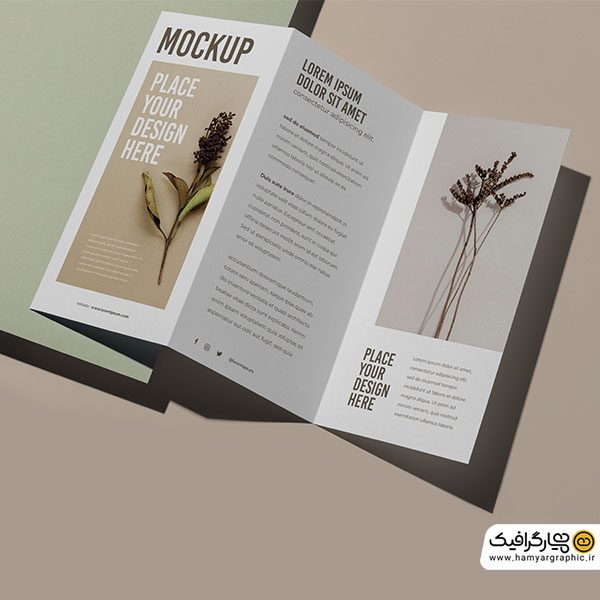 دانلود موکاپ رایگان بروشور