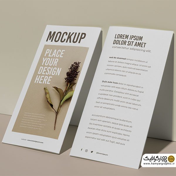 دانلود موکاپ رایگان بروشور