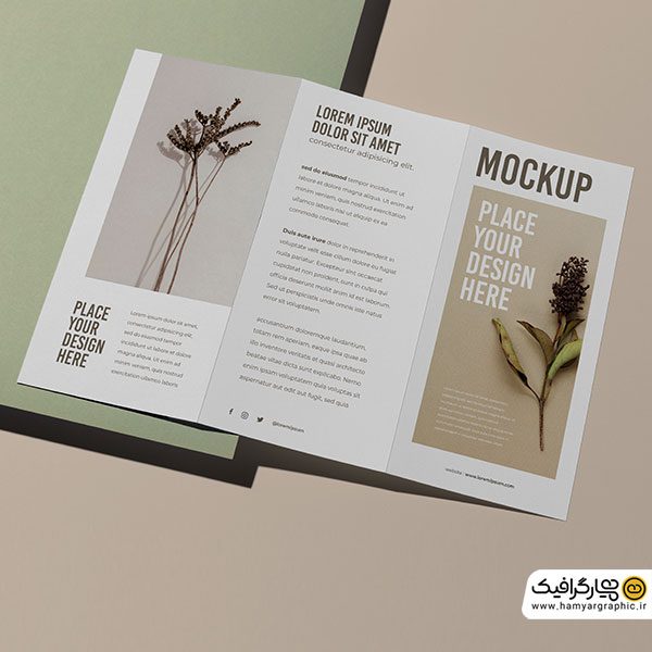 دانلود موکاپ رایگان بروشور
