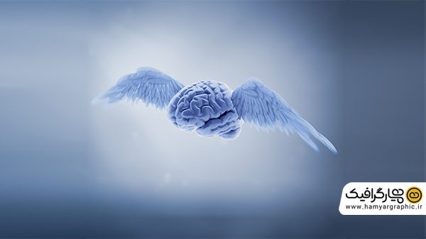 عکس با کیفیت مغز و بال