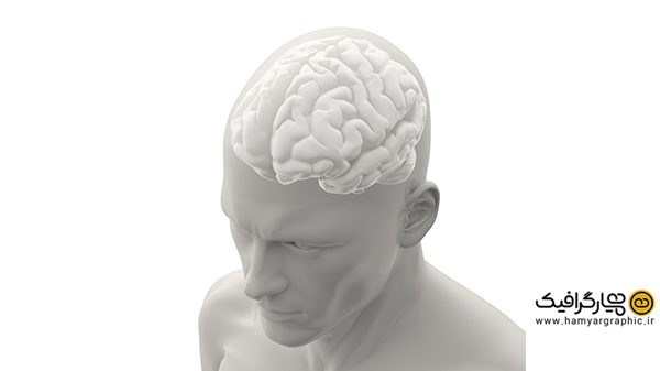 دانلود عکس مغز انسان