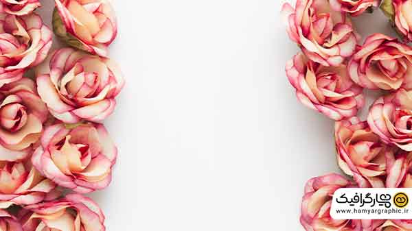 بکگراند گل رایگان