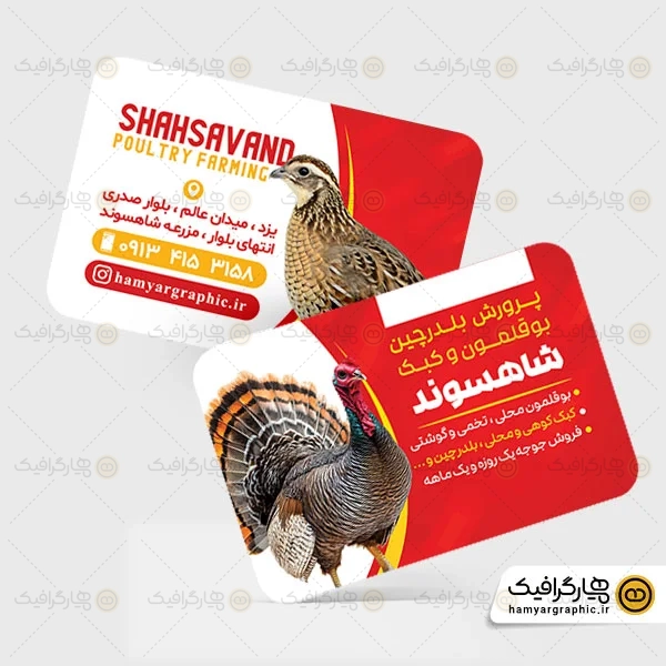 طرح کارت ویزیت پرورش مرغ و طیور گوشتی