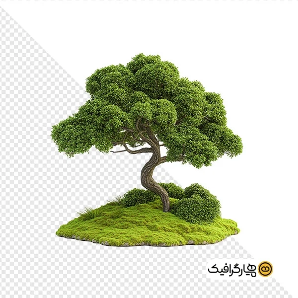 تصویر با کیفیت درخت