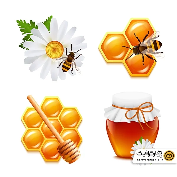دانلود وکتور جذاب زنبور عسل