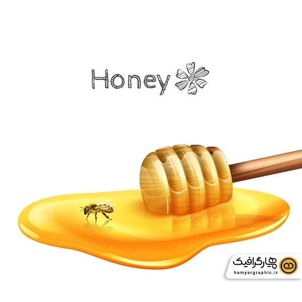 دانلود وکتور جذاب زیبا عسل