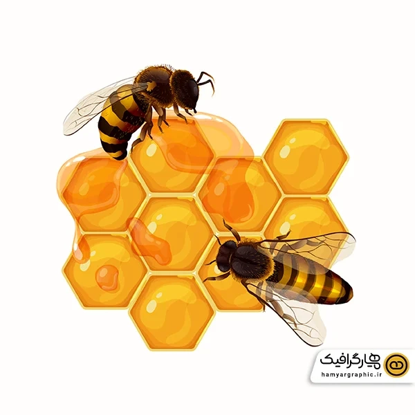دانلود وکتور جذاب زیبا کندو عسل