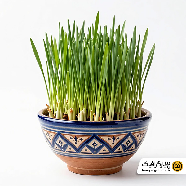 عکس استوک  با کیفیت سبزه عید – تصویر استوک ویژه سفره هفت سین، نوروز