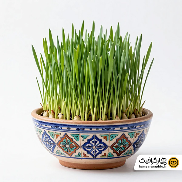 عکس استوک سبزه نوروز در کاسه سفالی – تصویر استوک حرفه‌ای سفره هفت سین نوروزی