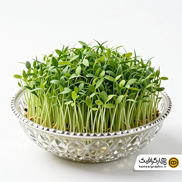 تصویر استوک سبزه نوروز در کاسه بلور – تصویر استوک حرفه‌ای سفره هفت سین نوروزی