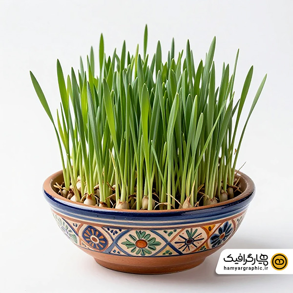 عکس استوک با کیفیت سبزه عید نوروز در کاسه سفالی قدیمی – تصویر استوک سنتی سفره هفت‌سین