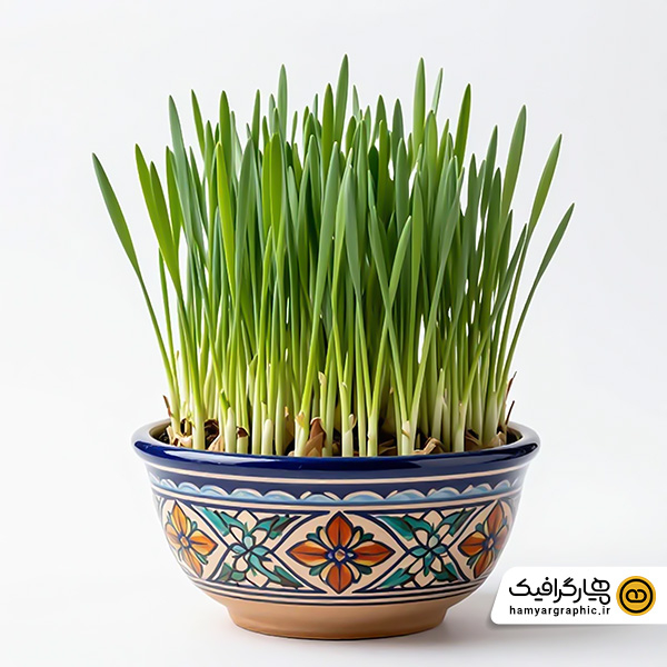 عکس استوک با کیفیت سبزه عید نوروز در ظرف گلی – تصویر استوک سنتی سفره هفت‌سین