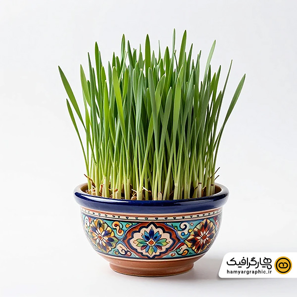 عکس استوک با کیفیت سبزه عید نوروز در ظرف کاشی کاری قدیمی– تصویر استوک سنتی سفره هفت‌سین