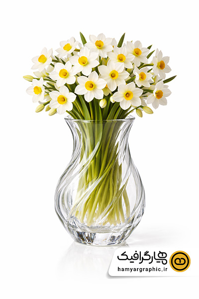 عکس با کیفیت دسته گل نرگس با گلدان بلور موج | گل نرگس با گلدان