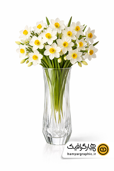 عکس دسته گل نرگس با گلدان استوانه ای | گل نرگس با گلدان